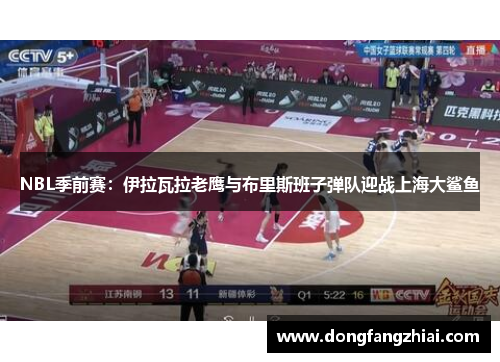 NBL季前赛：伊拉瓦拉老鹰与布里斯班子弹队迎战上海大鲨鱼